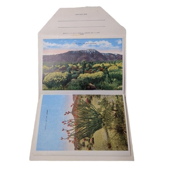 Vintage Postcard Fold Out The Desert Of The West USA‎ 1940s Unposted Color - Picture 4 of 6